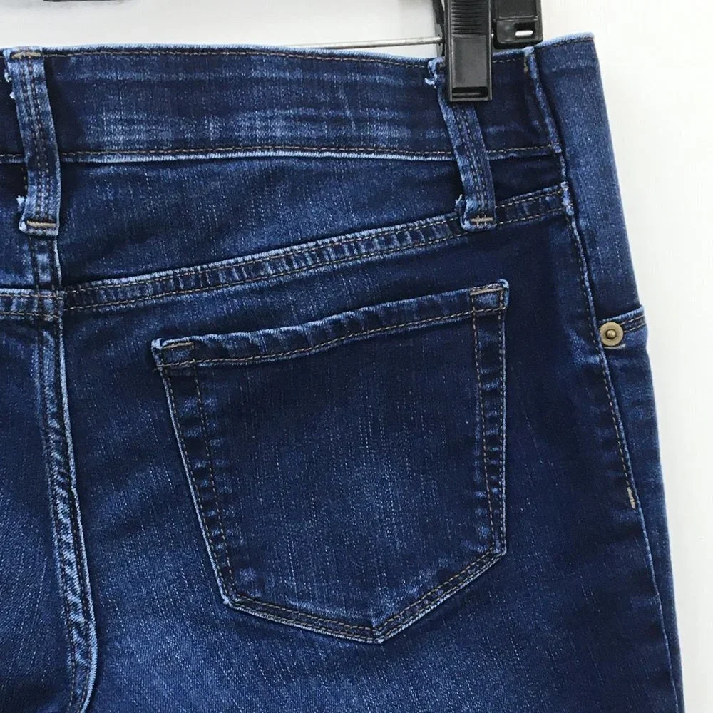 Isabel Maternity Light and Medium Wash Jeans Bundle of 2 Size 6/28 Regular
